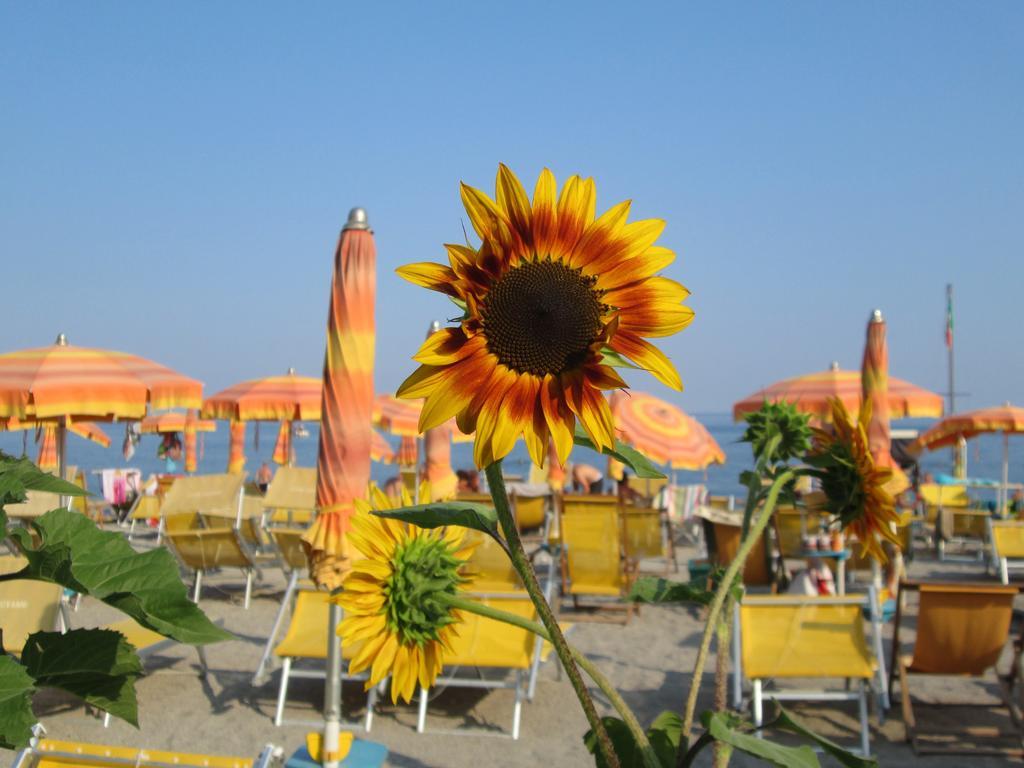 פייטרה ליגורה Residence Mare Verde מראה חיצוני תמונה
